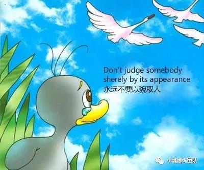The Ugly Duckling